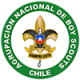 Insignia Institucional 100x100